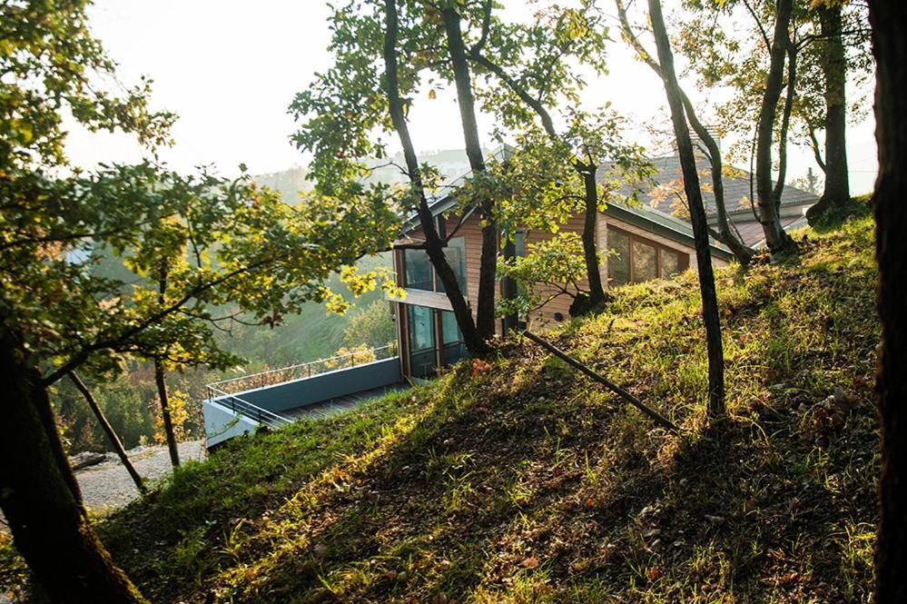 Apartment Oton Reya Dobrovo Exterior foto
